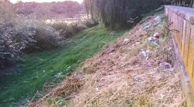 gunoi malul timisului