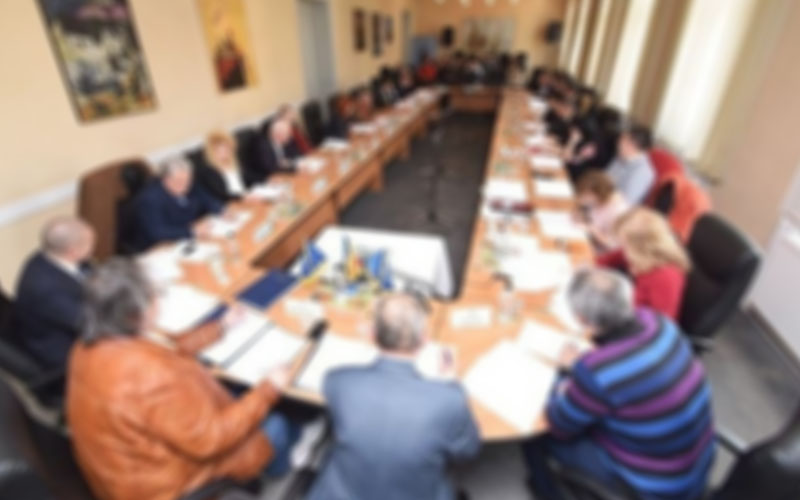 PNL a obținut majoritatea în consiliul local Lugoj
